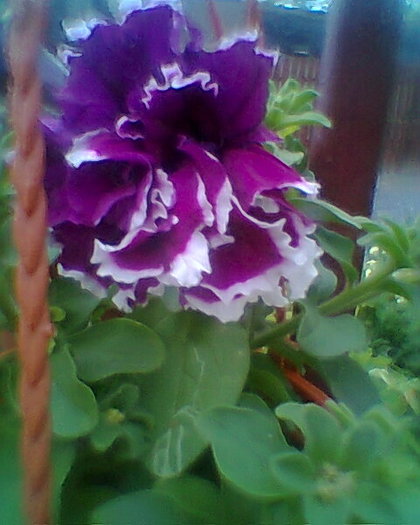 Fotogr.0456