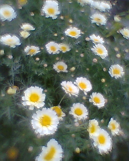 Fotogr.0479