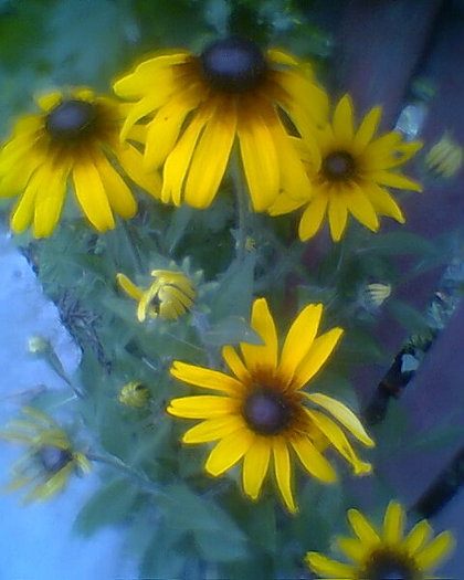 Fotogr.0483