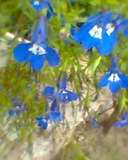 Fotogr.0489