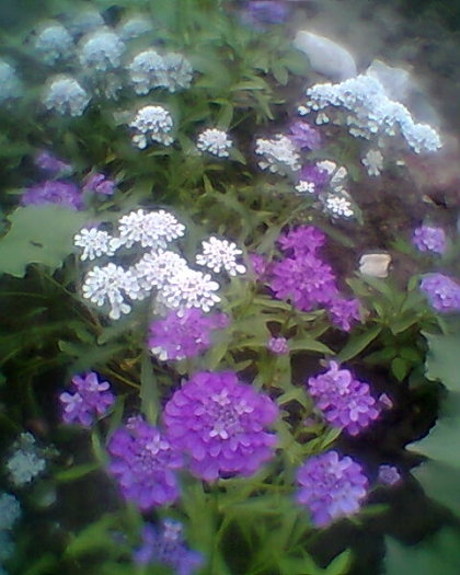 Fotogr.0492