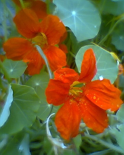 Fotogr.0495