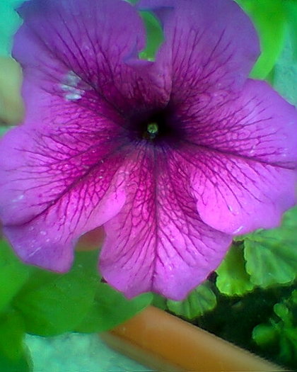 Fotogr.0497