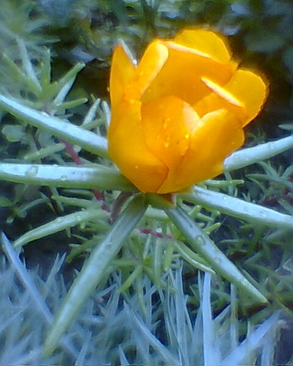 Fotogr.0499