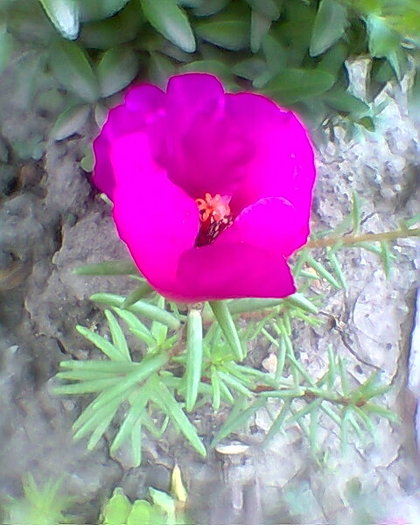 Fotogr.0500