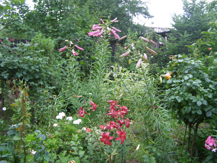 P5166172