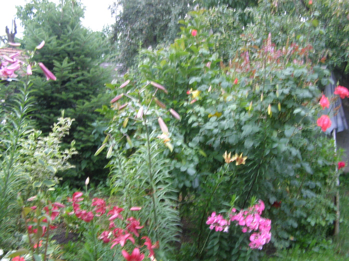 P5166182
