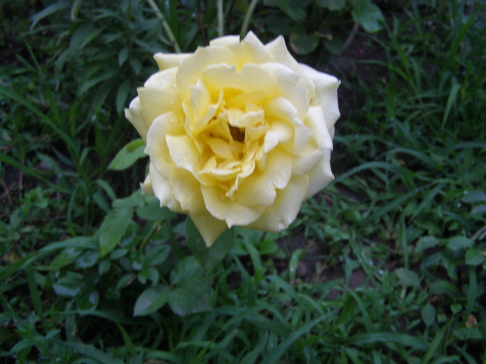 P5166187