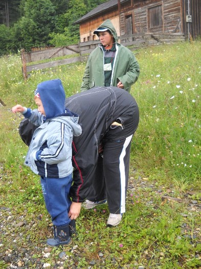 mai legam un siret,.....mai ... - COASA LA COLIBITA 2011