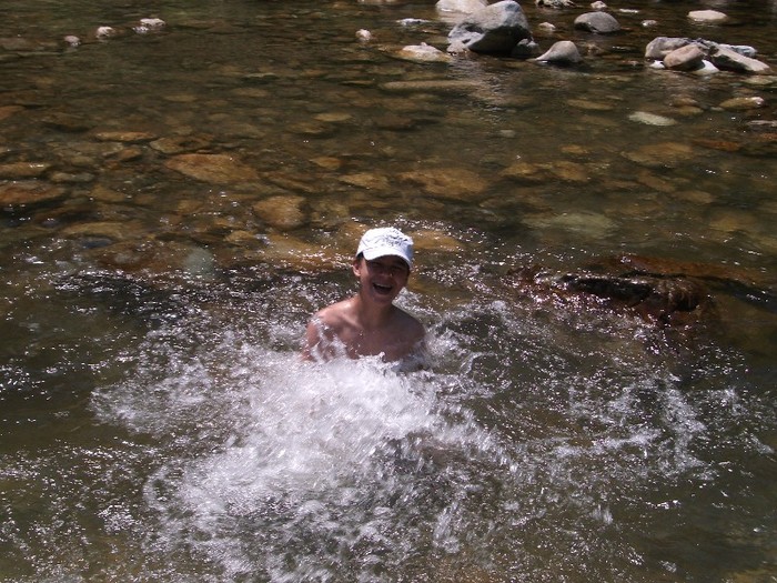 balaceala