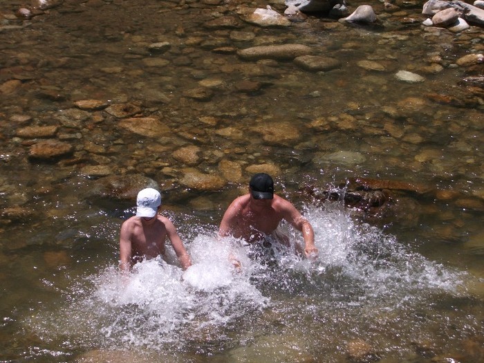 balaceala