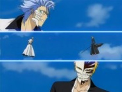 185px-Ichigo_vs_Grimmjow_-_2nd_Fight