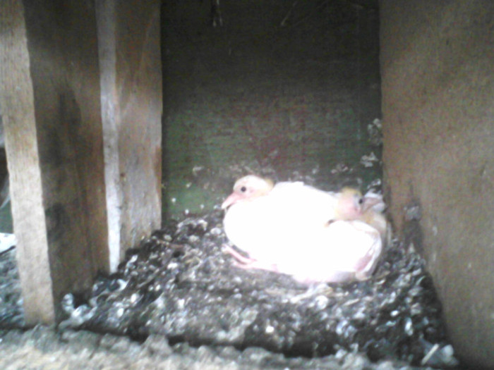 P01-07-11_10.15[5]