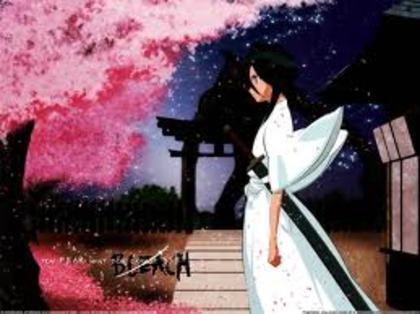 images (22) - Rukia Kuchiki