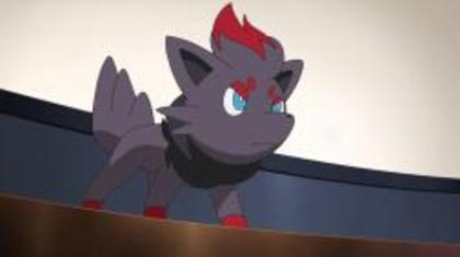Zorua(Emo) fata lvl 12345 stie toate miscarile normal si tip psihic