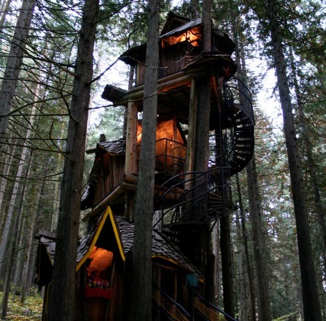 fantastic-forest-tree-house - CASE MAI SPECIALE