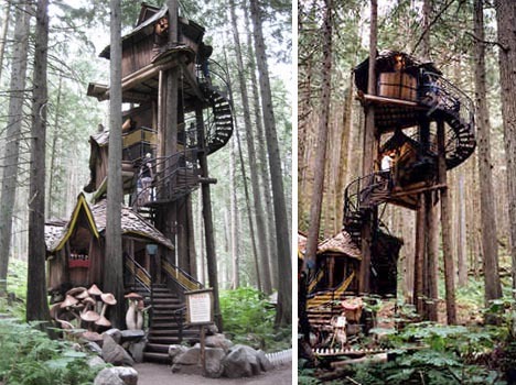 fantasy-forest-treehouse