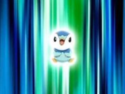  - Piplup