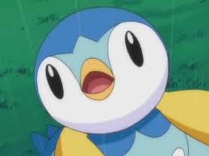  - Piplup
