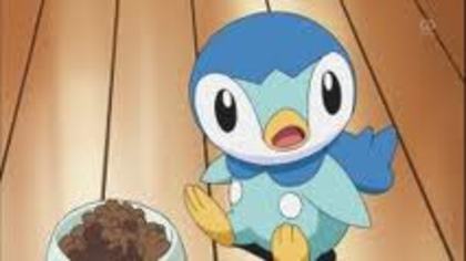  - Piplup