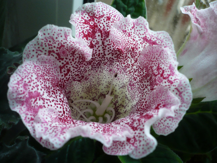 P1080292