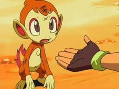  - Chimchar