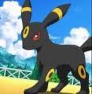 Umbreon baiat lvl 2568 - pokemonii mariei