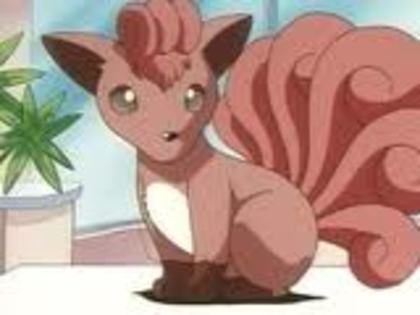 Vulpix fata lvl 4587