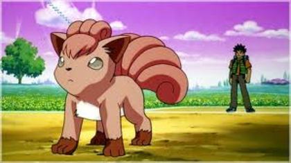  - Vulpix