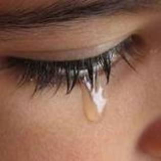 NE7N3KCAVQAN5CCA88QJPJCAFGHFEUCAZ0IBVKCA7S25FICAJ5N54XCA6OFJ9FCALT6XJOCAHVF7UYCAI5K654CAJZ1178CAONKA