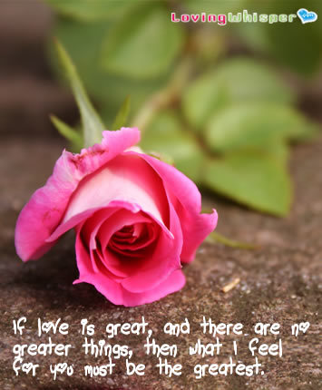 17805-my-feelings-for-you