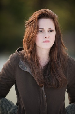 the-twilight-saga-new-moon-326754l-imagine