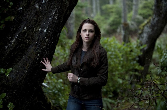 the-twilight-saga-new-moon-328387l
