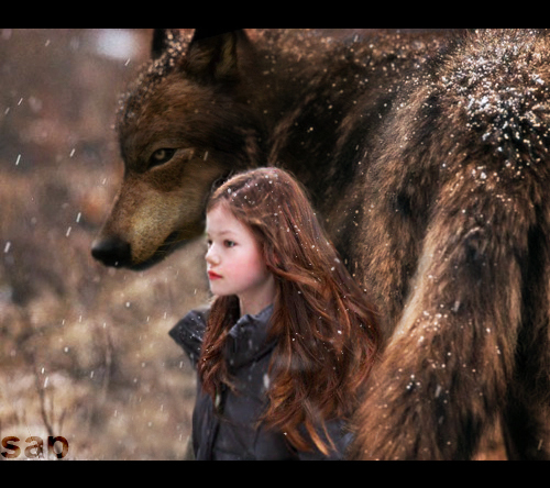 tumblr_lkiu9icYxh1qf63i1o1_500_large