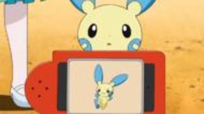 Minun on the Pokedex - Minun