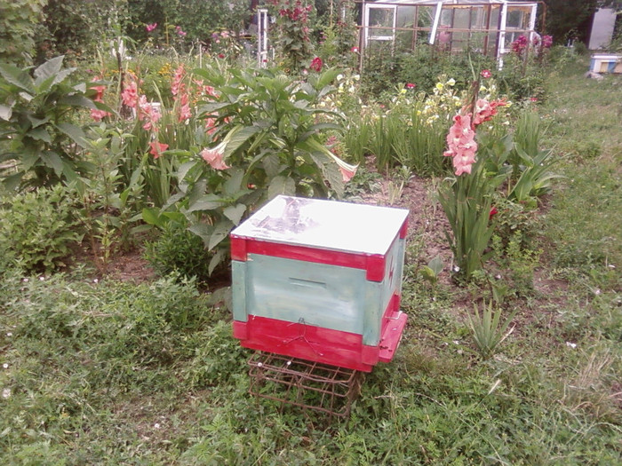 stup vertical12 rame +flori