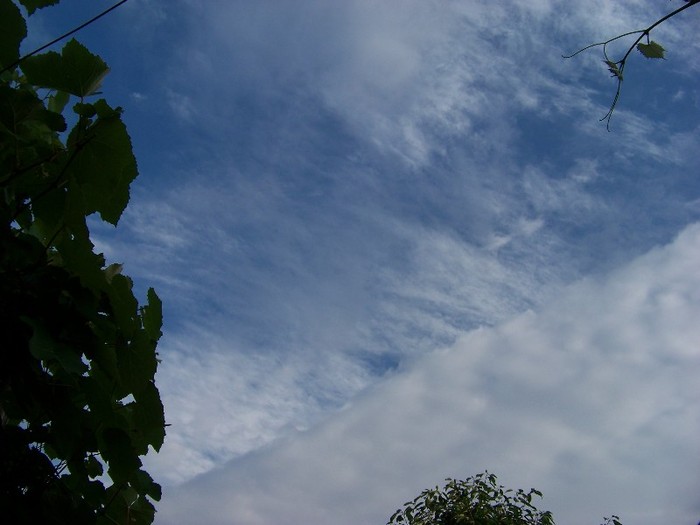 100_9809 - Iunie 2  2011