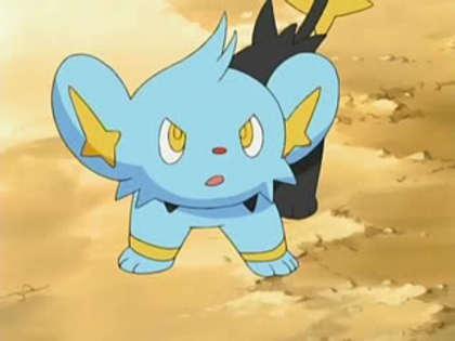  - Shinx