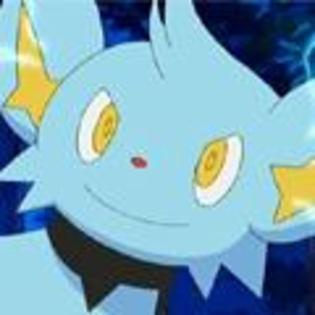  - Shinx