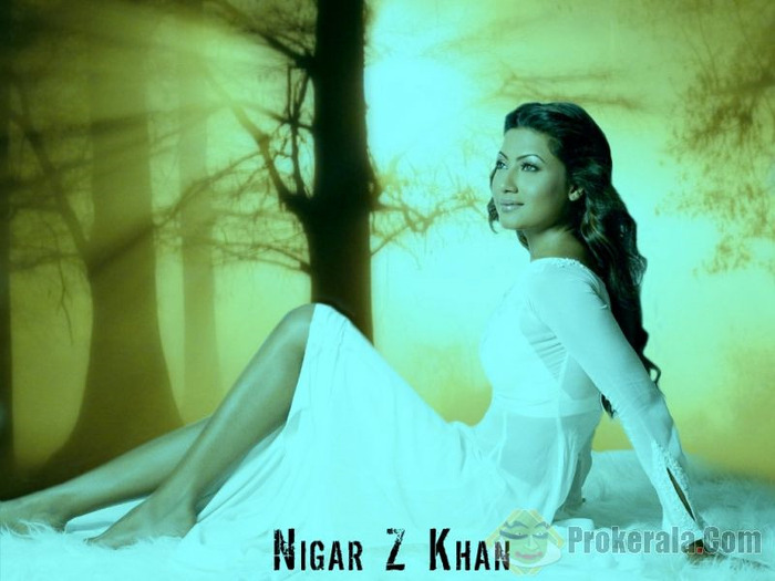 nigaar-z-khan-18735 - NIGAAR Z KHAN