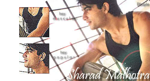 Sharad