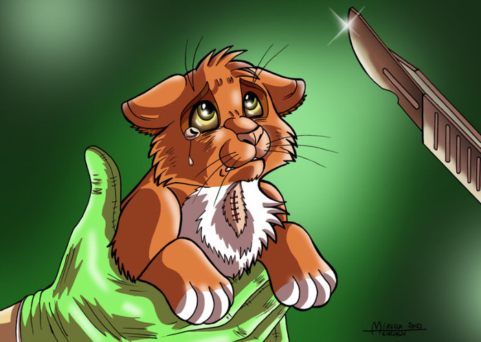 Si ne vede Ramo pe geam =))