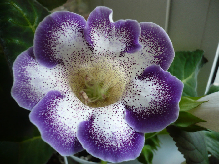 P1080338