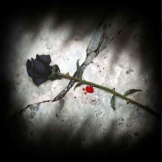 blood_rose - Trandafiri