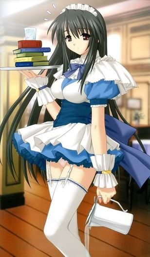 AnimeMaid