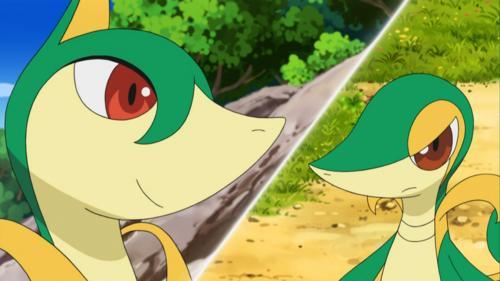 Dar ramane de vazut.... - Snivy Vs Servine