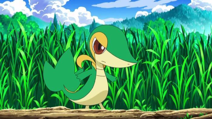 Snivy(Rikky):Cristy....sa te vad....