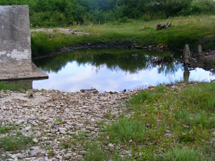 2011_0702PianuarieP0018 - Bistrita