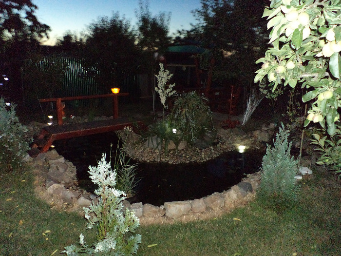 DSC00281 - IAZ deliu