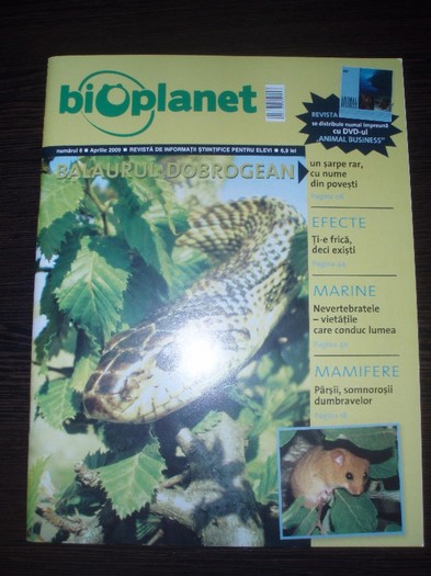 Vand revista BioPlanet Balaurul Dobrogean   DVD Animal Business; Vand revista BioPlanet Balaurul Dobrogean   DVD Animal Business
